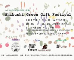 Shibushi Green Gift Festival